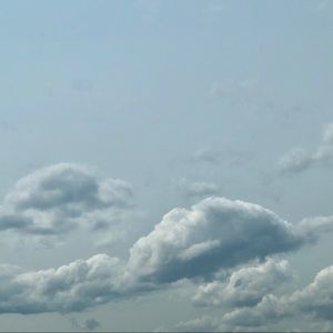 Meet your Posher, Lihai